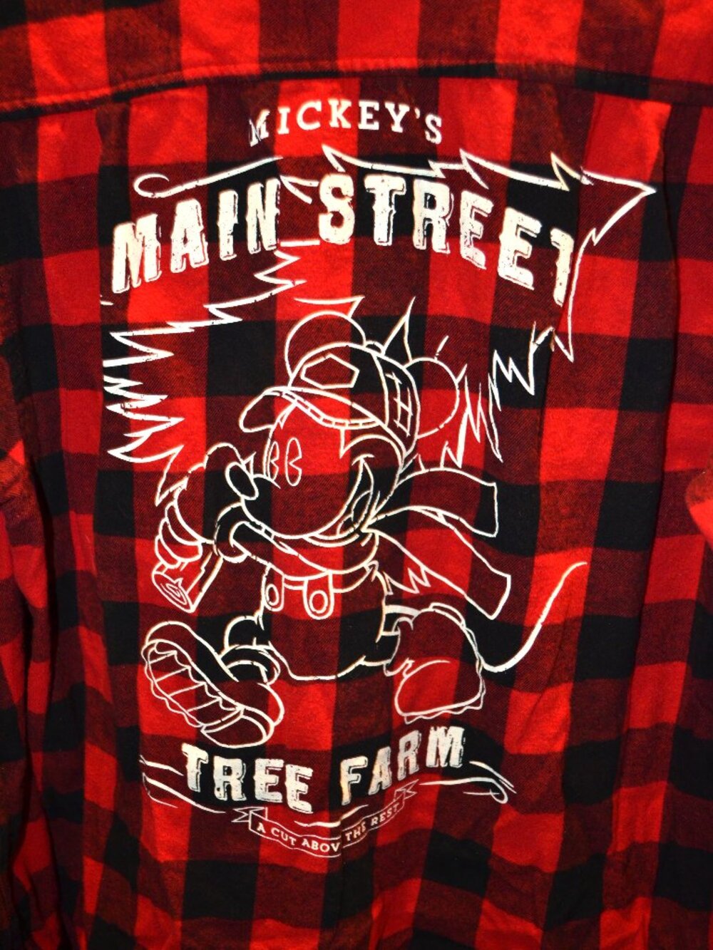 Disney Plaid